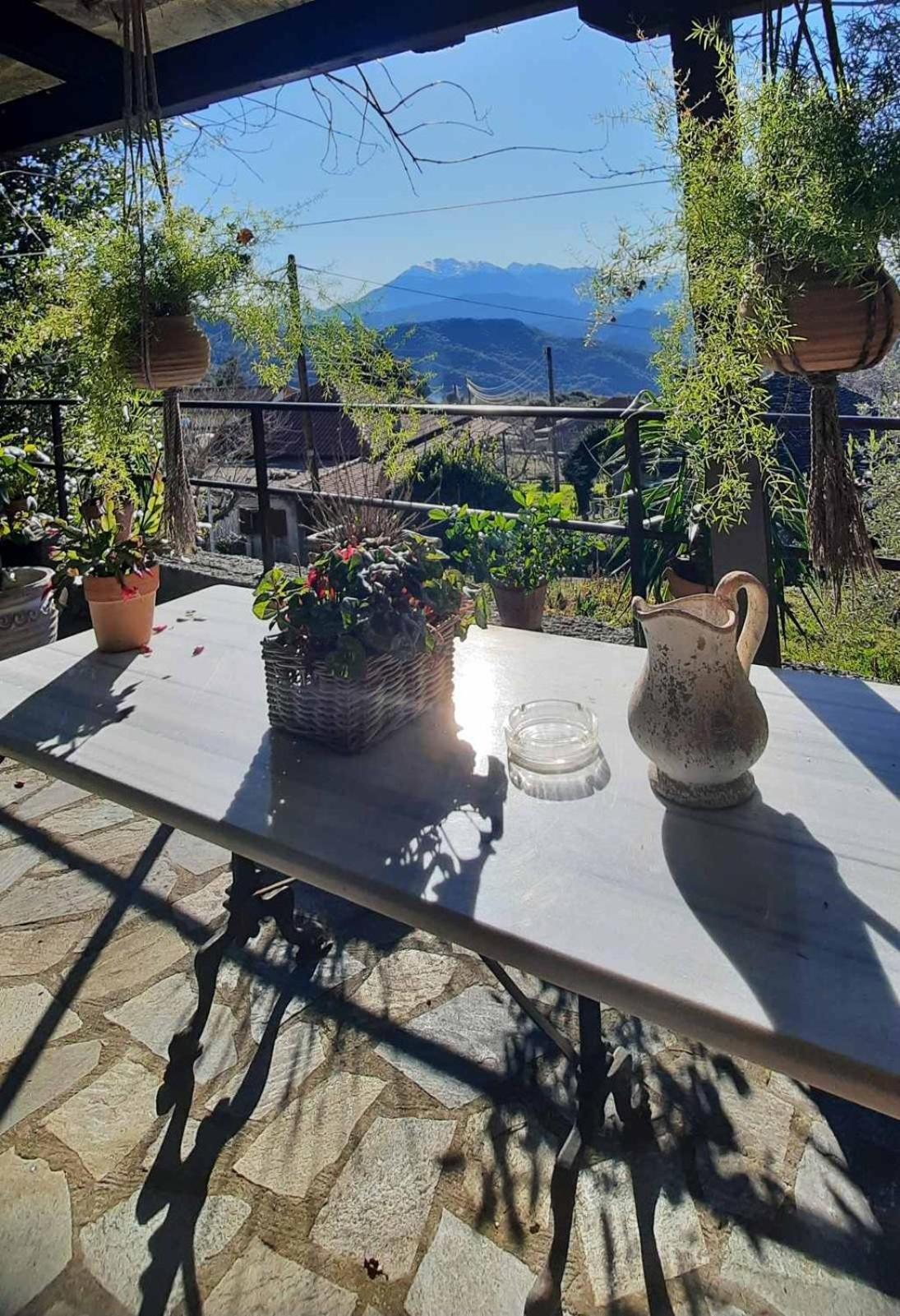 Hotel Αρχοντικό Άννα Μαρία - Βουργαρέλι Τζουμέρκα Esterno foto